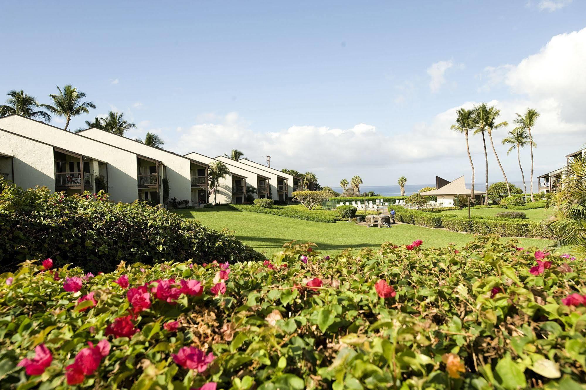 Hale Kamaole Aparthotel Wailea  Bagian luar foto